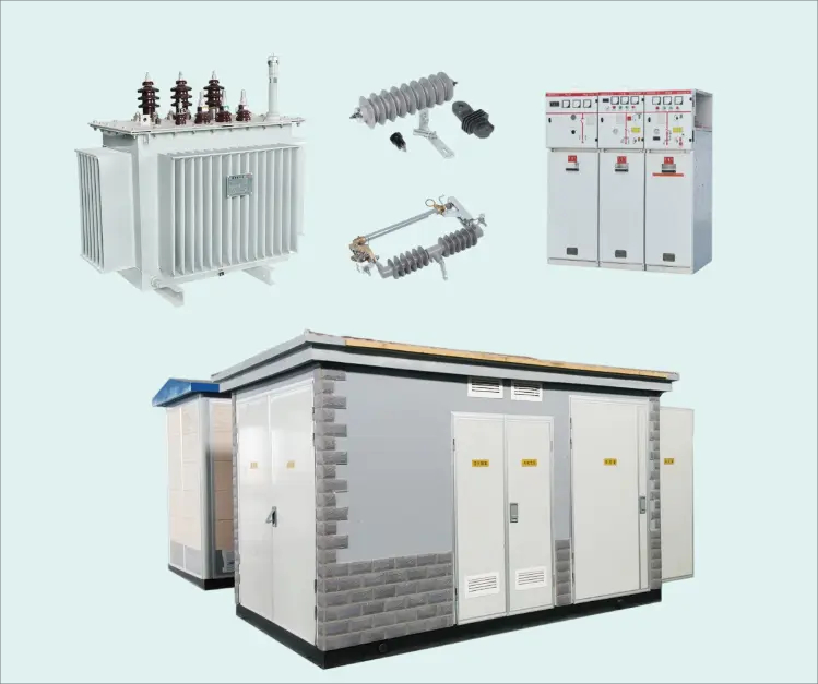 The Past Life and Present Life of Electric Power